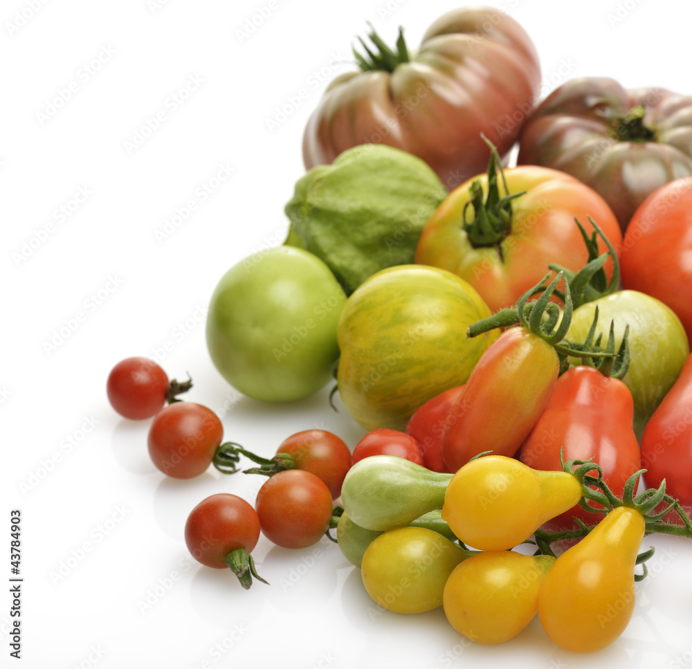 Tomatoes Tomatoes