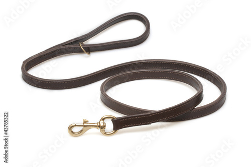 brown leather belt for dog