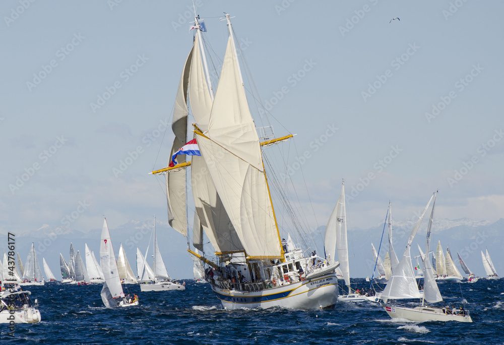 Naklejka premium Barcolana