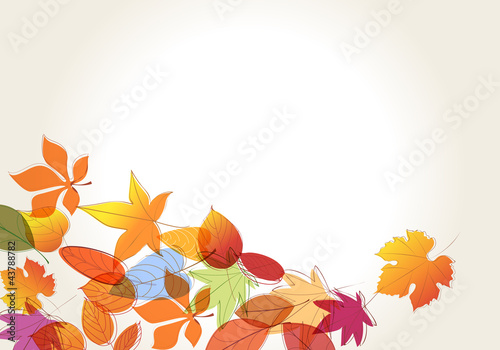 Colorful autumn leaves illustration