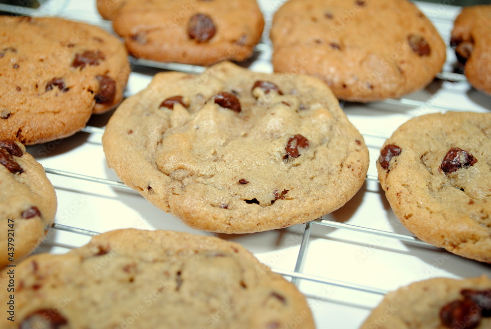 Cooling Cookies Cooling Cookies