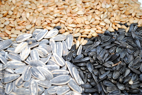 3 Sunflower Seeds