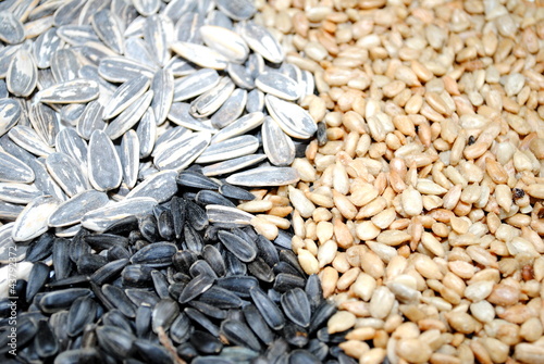 Assortment of Sunflower Seeds