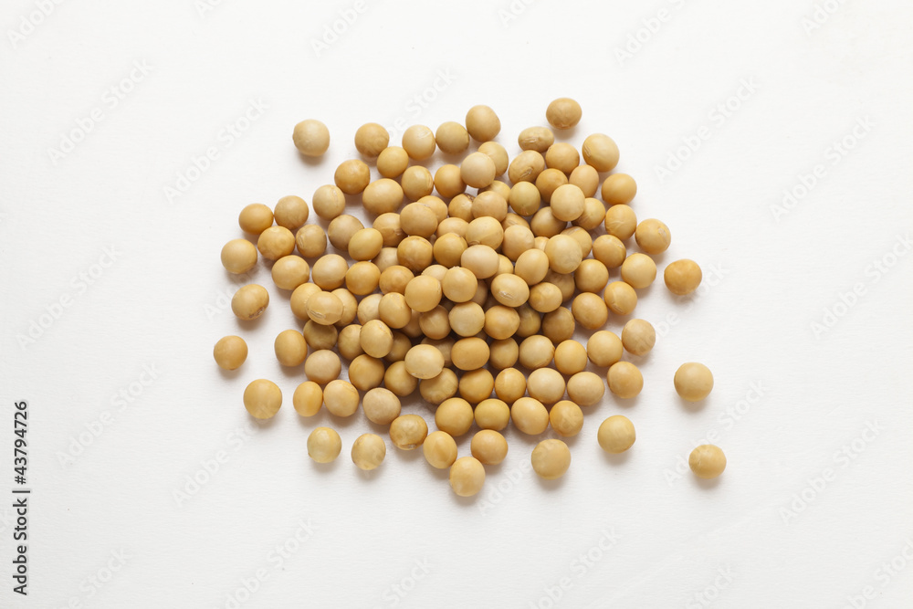 Soybean Soybean