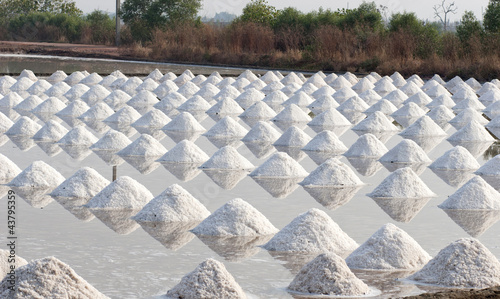 saline in samut sakorn, thailand photo