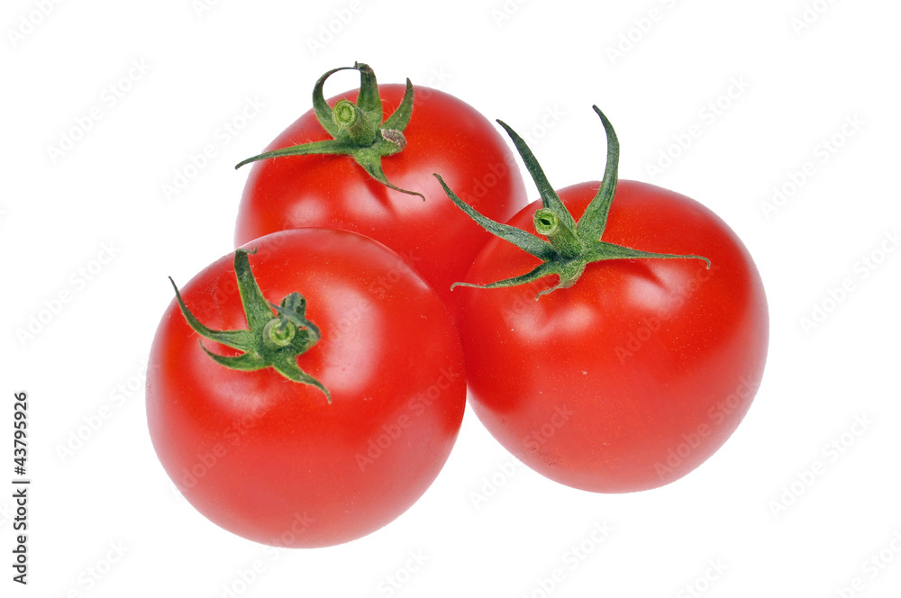 tomaten tomaten