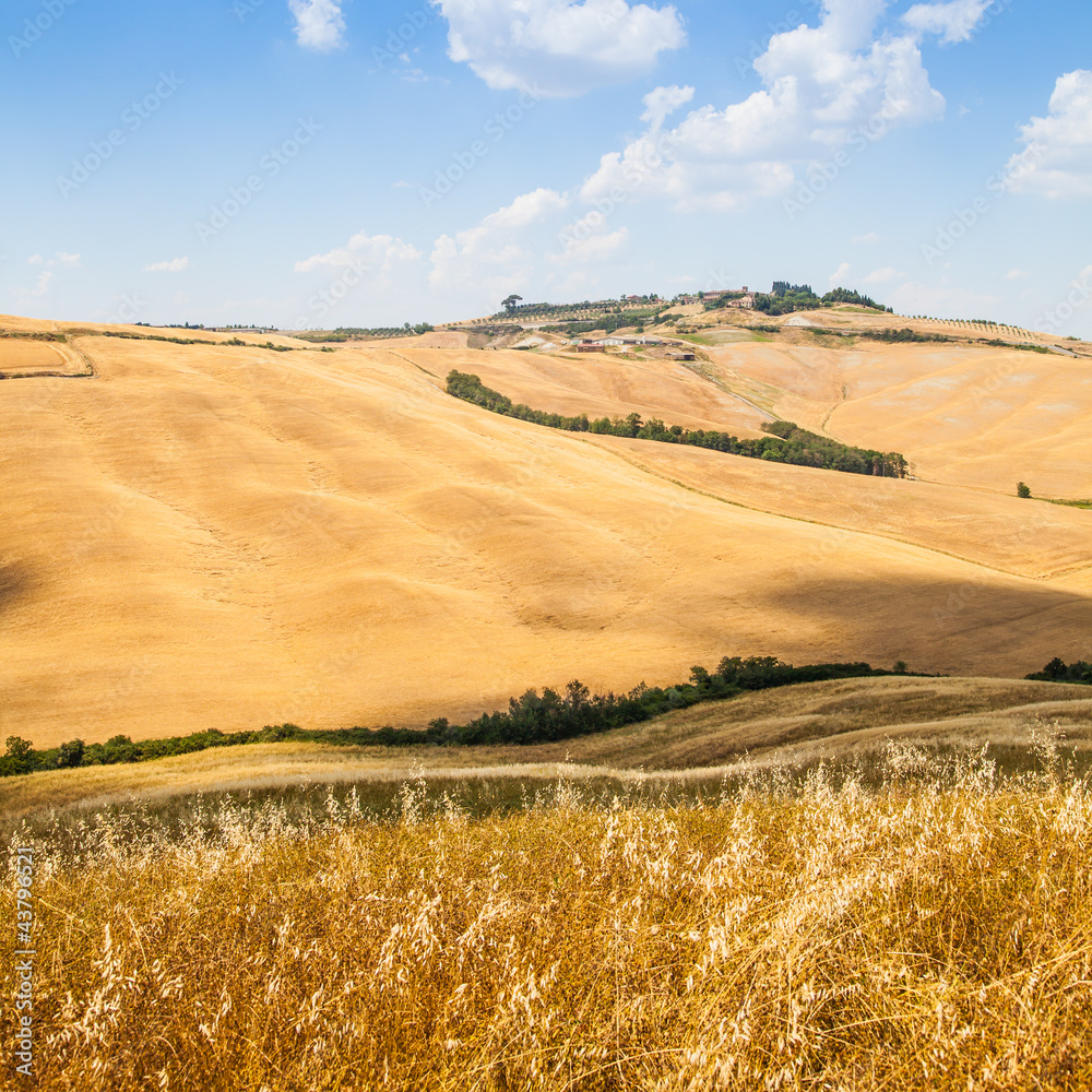 Fototapeta premium Country in Tuscany