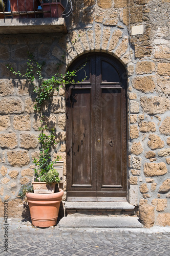 Wooden door. Orvieto. Umbria. Italy.