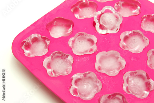 Ice Cube Tray on White Background