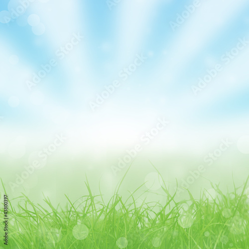 Spring Background With Bokeh