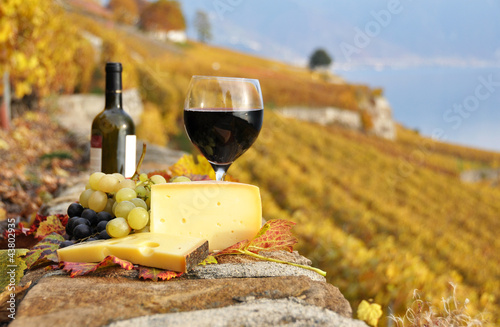 Fototapeta Naklejka Na Ścianę i Meble -  Wineglass and a bottle. Lavaux region, Switzerland