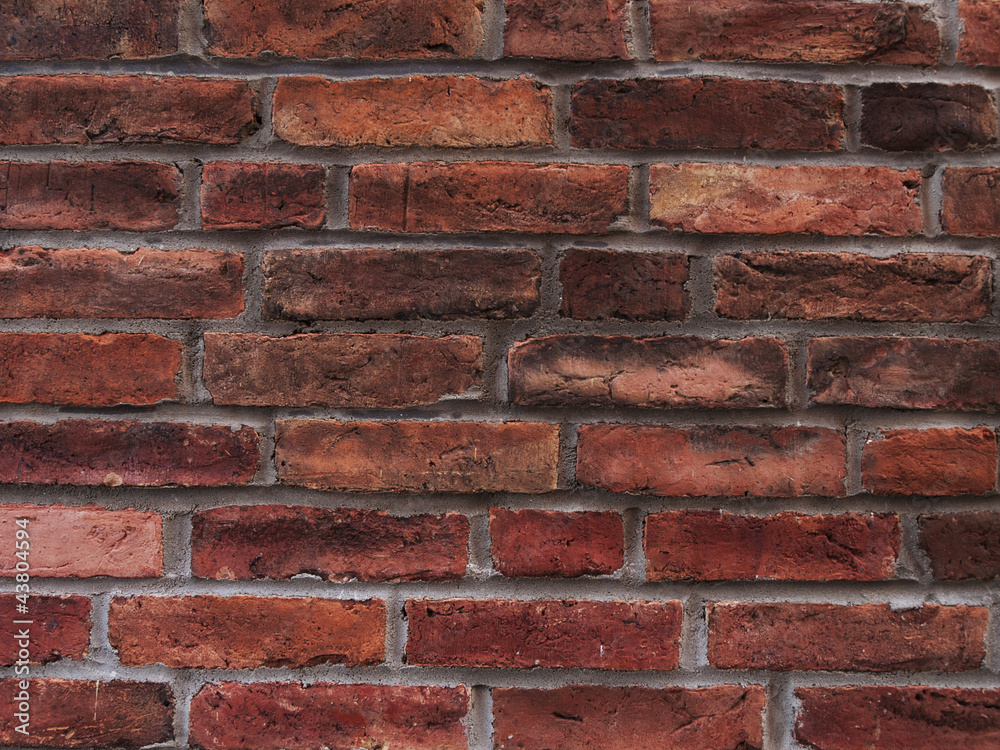 Naklejka premium Brick Wall