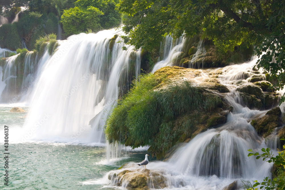 Waterfalls on Krka River. National Park, Dalmatia, Croatia Waterfalls on Krka River. National Park, Dalmatia, Croatia