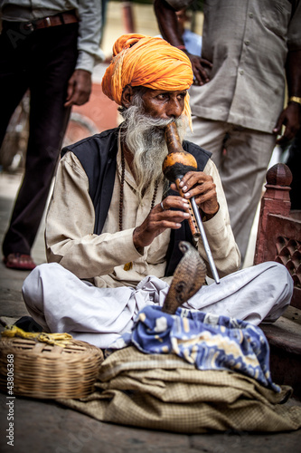 snake charmer photo