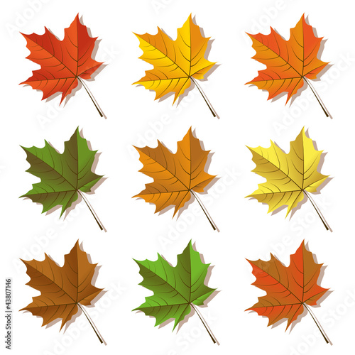 Herbstblätter