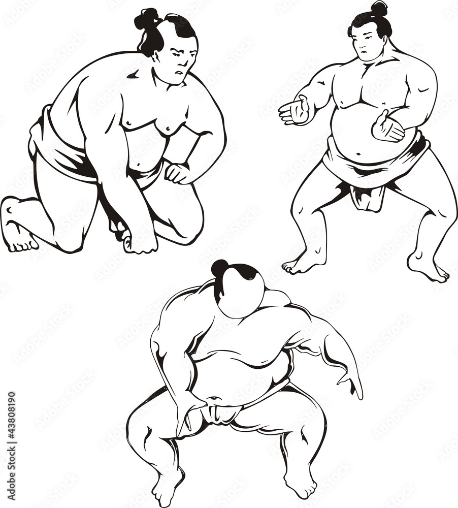 Fototapeta premium Sumo