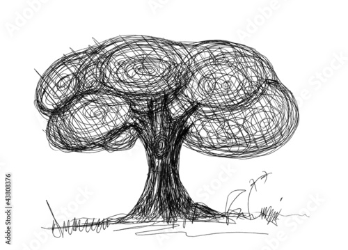 tree sketch