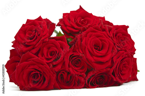 red roses