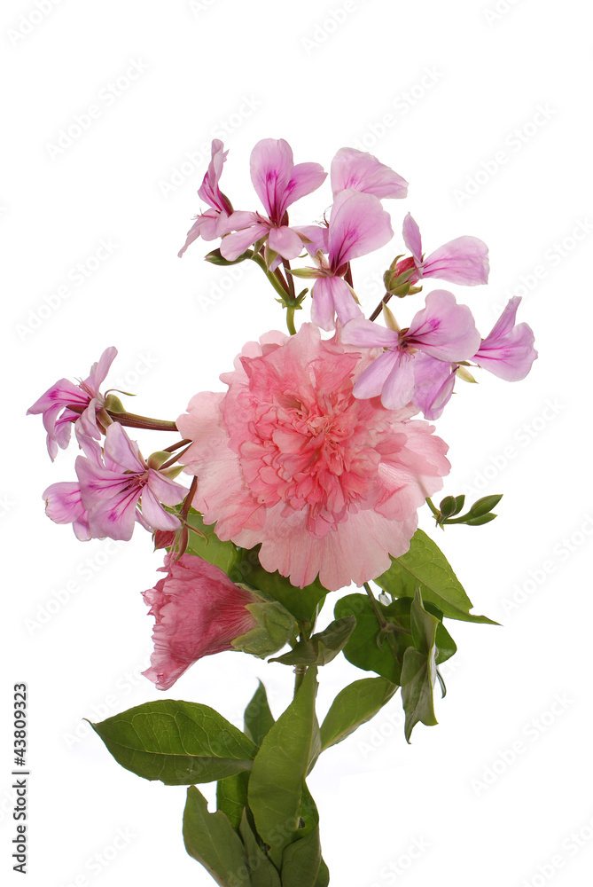 Celebratory bouquet of summer flowers Celebratory bouquet of summer flowers