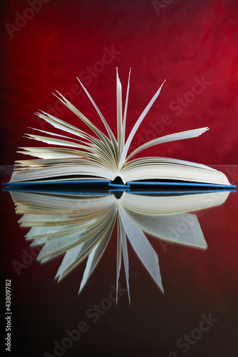 Open Book