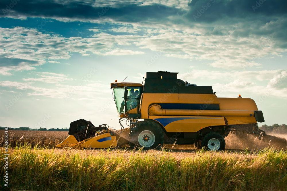Fototapeta premium moisson agriculture engin agricole