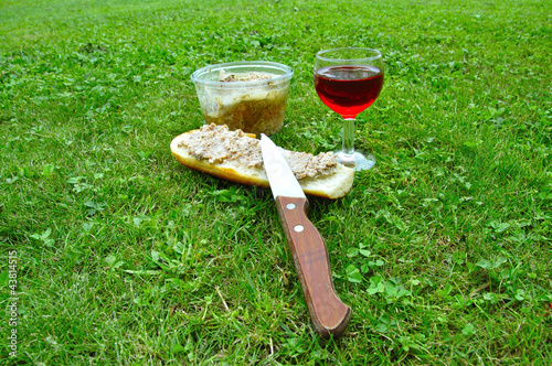 Déjeuner sur l'herbe campagnard photo