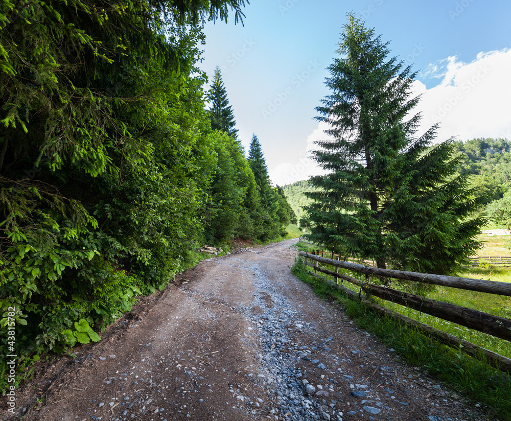 Road through forest in mountains Road through forest in mountains