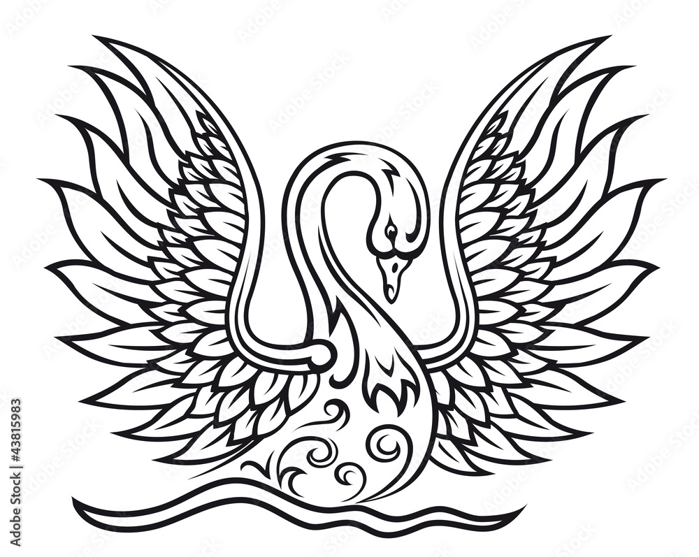 Obraz premium Elegant swan bird