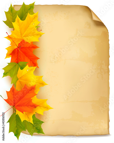 Autumn background with color leaves