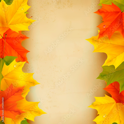 Autumn background with leaves Back to school illustration