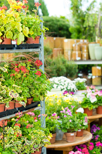 Garden centre green house with potted flowers