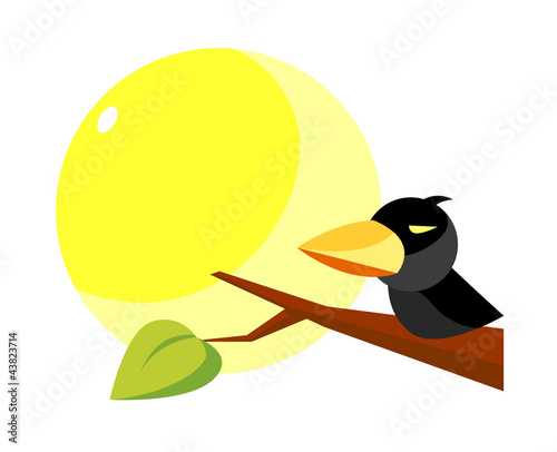 vector icon bird