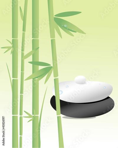 Zen Bambou