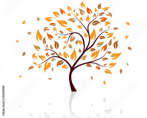 Autumn tree