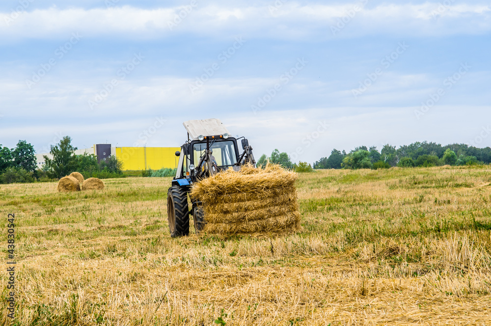 Obraz premium tractor with a hay