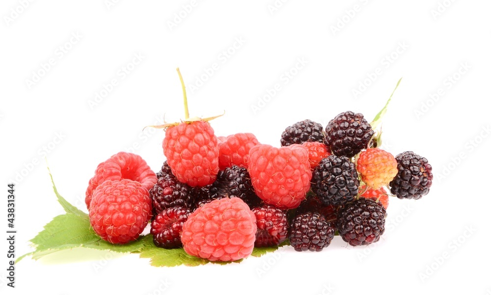 Sweet fresh raspberry fruit with green leaf Sweet fresh raspberry fruit with green leaf