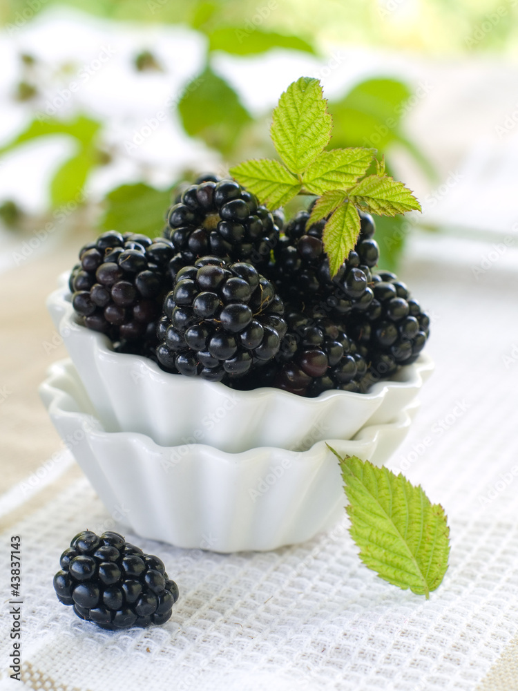 blackberry blackberry