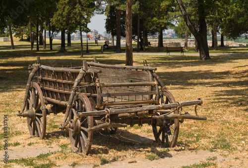 Quadro su tela Horse and carriage