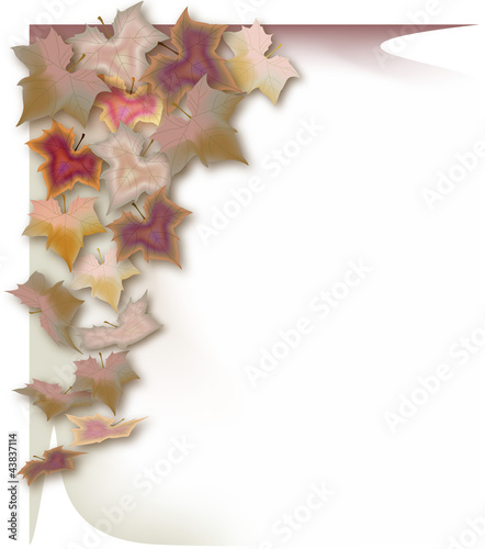 foglie di autunno_01