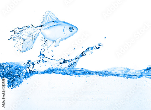 water fish