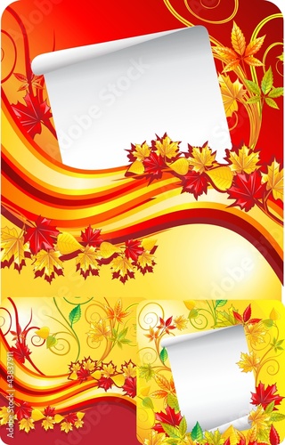 Autumn arrangement of leaves