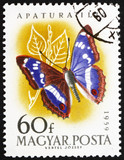 Postage stamp Hungary 1959 Leser Purple Emperor, Apatura Ilia, B