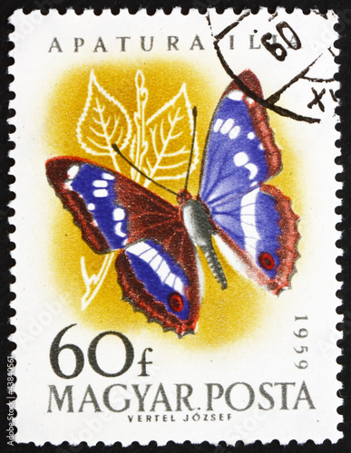 Postage stamp Hungary 1959 Leser Purple Emperor, Apatura Ilia, B