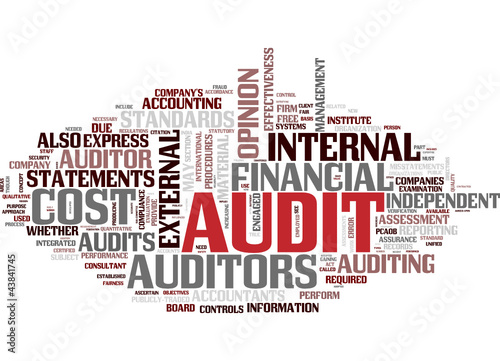 Audit (english)