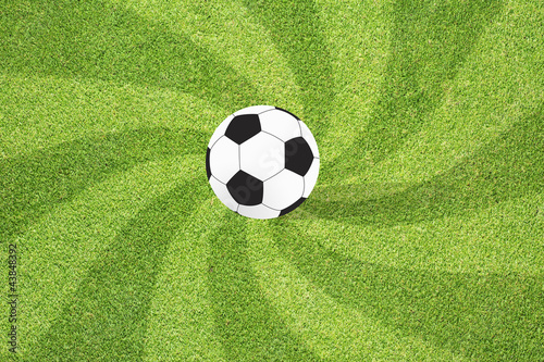 Football soccer on grass background © jumpem