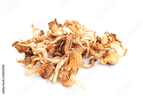 Dried porcini mushrooms isolated on white background