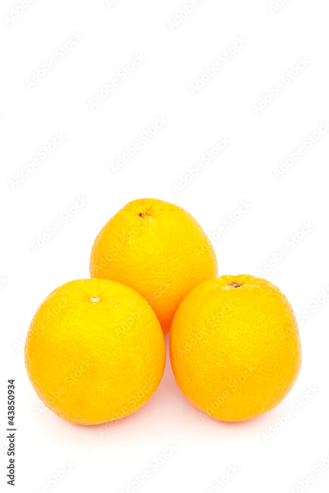 three oranges over white paper three oranges over white paper