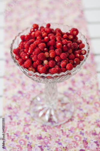 Bowl of wild strawberries