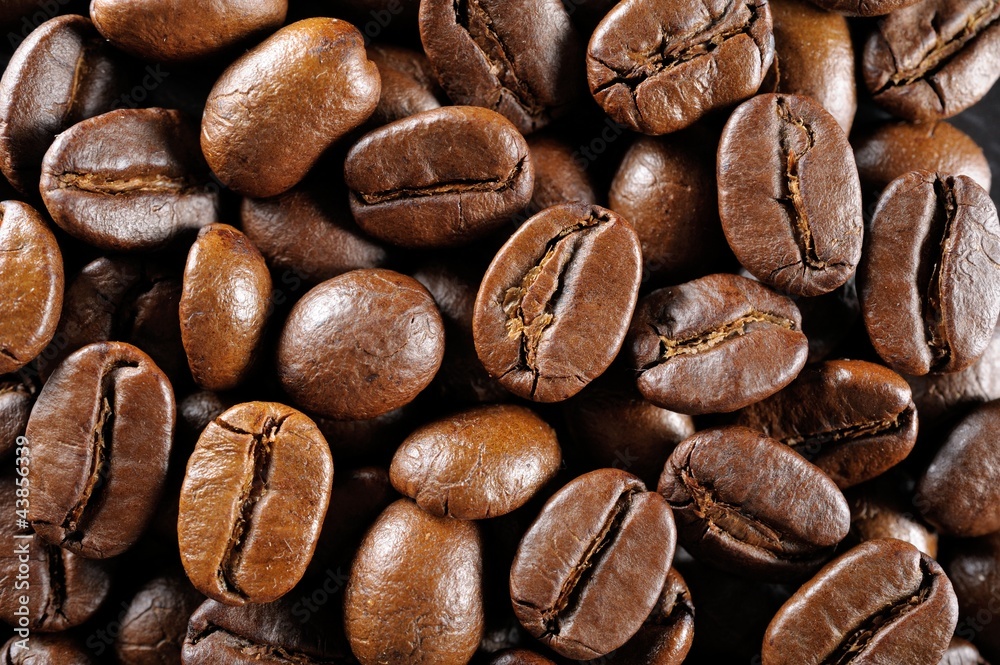 Naklejka premium Roasted coffee beans