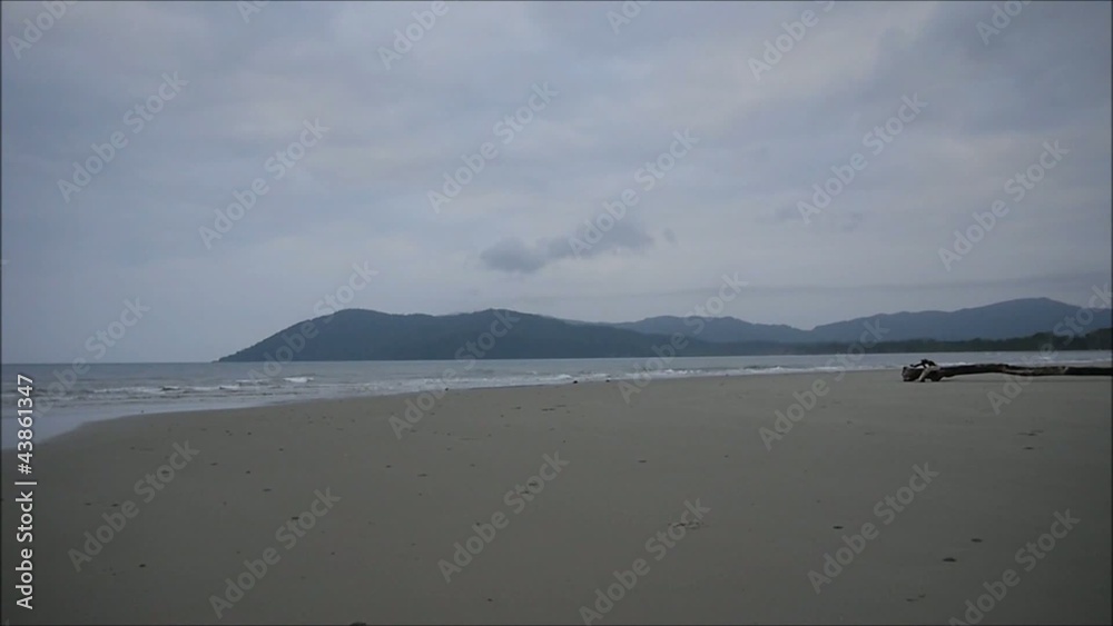 Strand am Regenwald